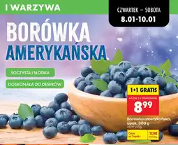 Biedronka Borówka amerykańska oferta