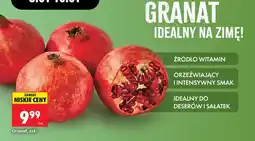 Biedronka Granat oferta