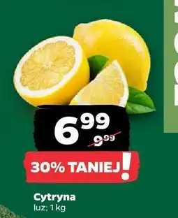 Netto Cytryna luz oferta