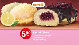 Żabka Pączek Olsza oferta