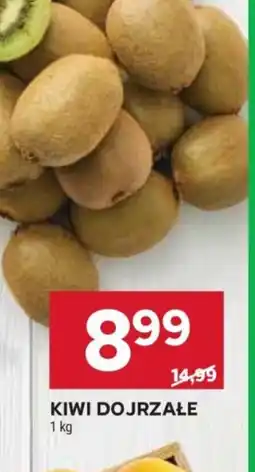 Stokrotka Kiwi dojrzałe oferta