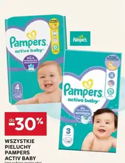 Stokrotka Pampers Active Baby oferta