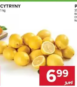 Stokrotka Cytryny oferta