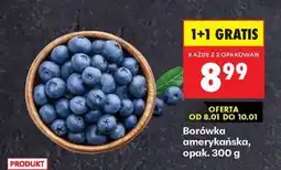 Biedronka Borówka amerykańska opak 300 g oferta