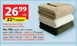 Auchan Koc Miś oferta