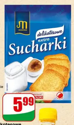 Dino Karma mokra dla psa z wołowiną oferta