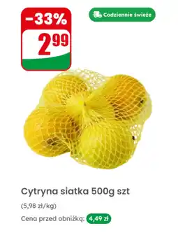 Dino Cytryna siatka oferta