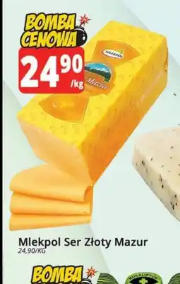 Szyneczka Mlekpol Ser Złoty Mazur oferta
