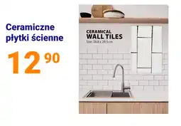 Action Ceramiczne płytki ścienne oferta