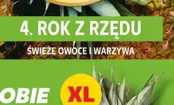 Kaufland Cebula dymka polska oferta