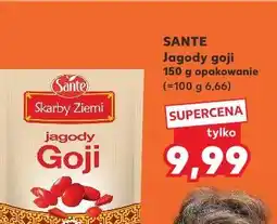 Kaufland Hiacynt 3 cebule don. 12 cm oferta