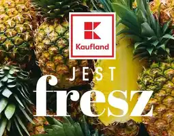 Kaufland Cebula słodka oferta