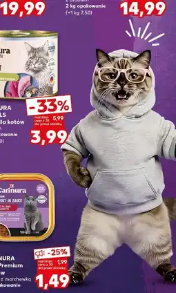 Kaufland Gaśnica proszkowa 1 kg abc oferta