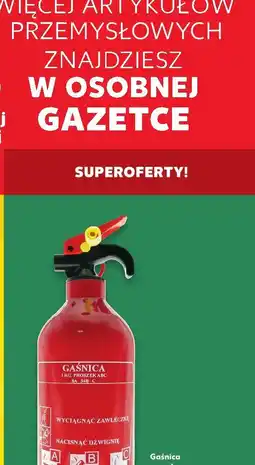 Kaufland Cukier wanilinowy Dr. Oetker oferta