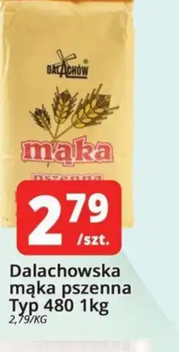 Szyneczka Dalachowska mąka pszenna Typ 480 oferta