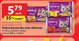 Auchan Mokra karma dla kota Whiskas oferta