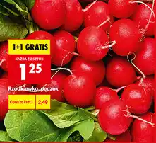Biedronka Rzodkiewka pęczek oferta