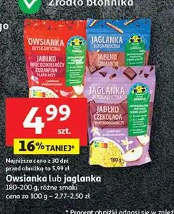 Auchan Owsianka lub jaglanka (jabłko - cynamon, jabłko - czekolada) oferta