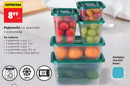 Biedronka Pojemniki na żywność z pokrywką oferta