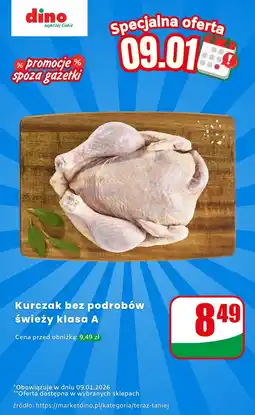 Dino Kurczak bez podrobów świeży klasa A oferta