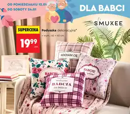 Biedronka Poduszka dekoracyjna* oferta