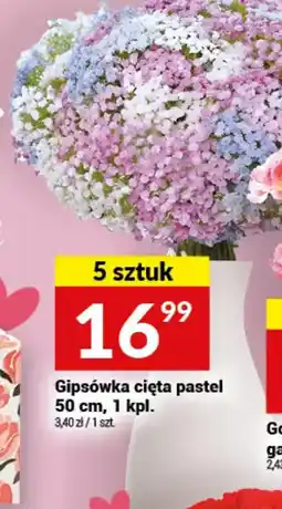 Twój Market Gipsówka cięta pastel 50 cm, 1 kpl. oferta