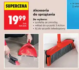 Biedronka Szufelka ze zmiotką oferta