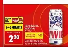 Biedronka Piwo Żywiec Jasne Pełne oferta