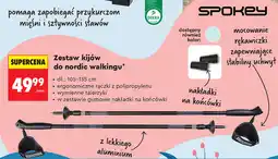 Biedronka Zestaw kijów do nordic walking SPOKEY oferta