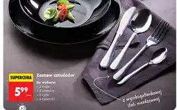 Biedronka Zestaw sztućców oferta