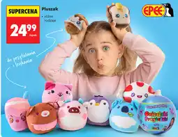 Biedronka Pluszak - różne rodzaje oferta