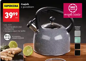 Biedronka Czajnik z gwizdkiem oferta