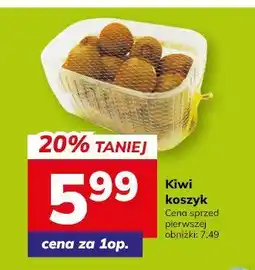 Hitpol Owoce Kiwi koszyk oferta