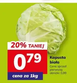 Hitpol Warzywo Kapusta biała oferta