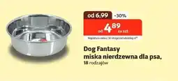Kakadu Miska dla psa Dog Fantasy oferta