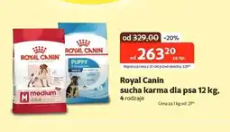 Kakadu Karma dla psa Royal Canin oferta