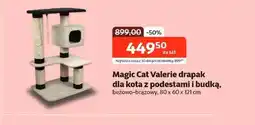 Kakadu Drapak dla kota Magic cat oferta