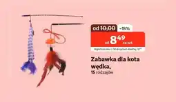 Kakadu Zabawka dla kota oferta