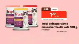 Kakadu Mokra karma dla kota Tropi oferta