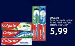 Blue Stop Pasta do zębów Colgate oferta