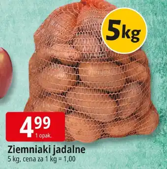 E.Leclerc Ziemniaki jadalne oferta