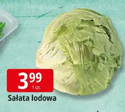 E.Leclerc Sałata lodowa oferta
