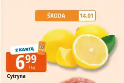 E.Leclerc Cytryna oferta