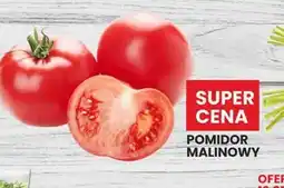 Wafelek Pomidor Malinowy oferta