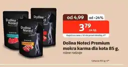 Kakadu Dolina Noteci Premium mokra karma dla kota oferta