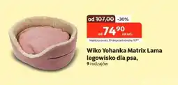 Kakadu Wiko Yohanka Matrix Lama legowisko oferta
