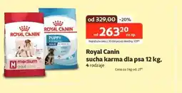 Kakadu Royal Canin sucha karma dla psa oferta