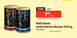 Kakadu Rafi Classic mokra karma dla psa oferta