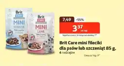 Kakadu Brit Care mini fileciki dla psów oferta