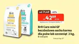 Kakadu Brit Care mini GF karma dla psów oferta